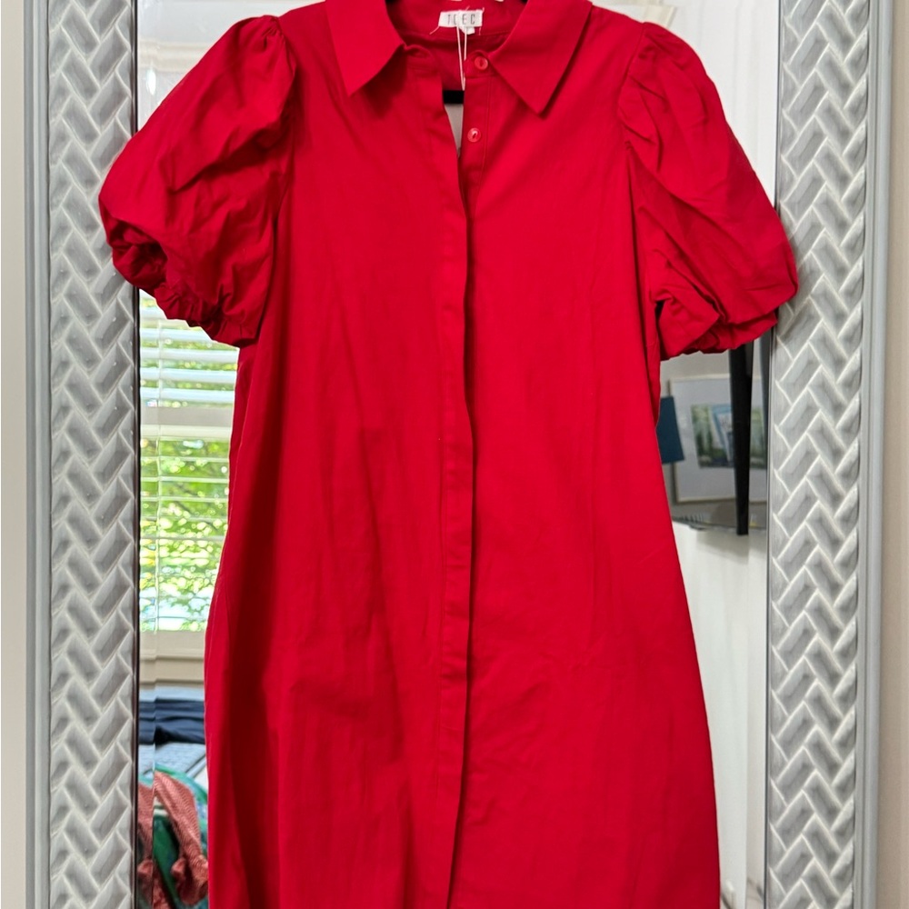 TCEC Red Asymmetrical Dress